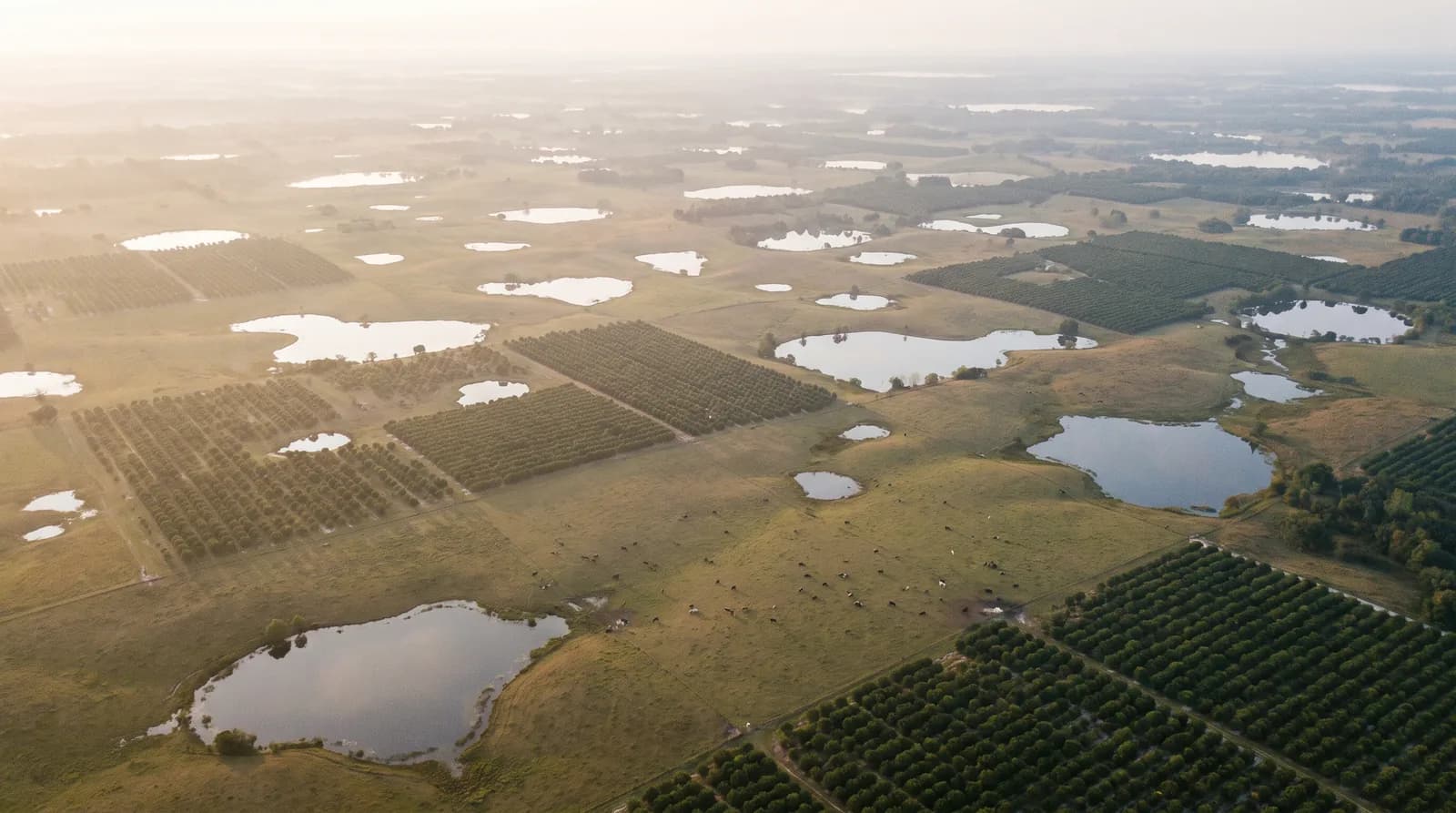 Aerial view of central Florida countryside with citrus groves, pasture and small lakes in morning haze