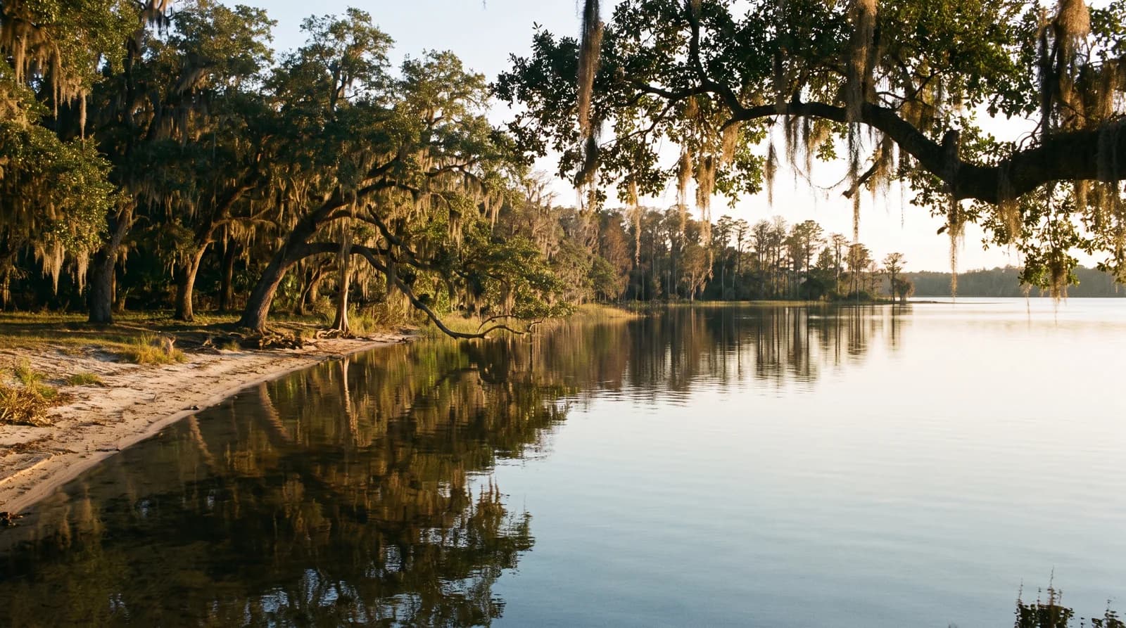 A central Florida lake at golden hour with live oaks and Spanish moss along the shoreline